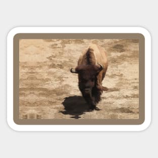 Plains Trekking - American Buffalo Sticker